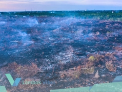 FWI soroti multi usaha kehutanan, konflik lahan hingga deforestasi dinilai belum tuntas