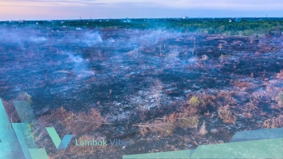 FWI soroti multi usaha kehutanan, konflik lahan hingga deforestasi dinilai belum tuntas