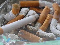 Rokok sedot uang belanja keluarga, 7 dari 10 anak penerima MBG tinggal dengan perokok