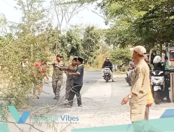 Cuaca ekstrem ancam pengguna jalan, Satpol PP KLU bantu pengamanan penebangan pohon
