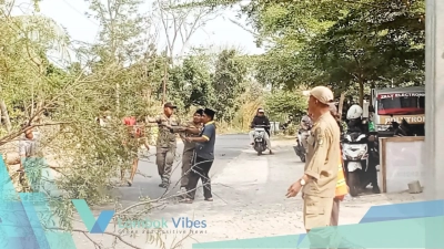 Property of Lombokvibes.com